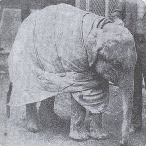 _45588453_babyelephant1933.jpg