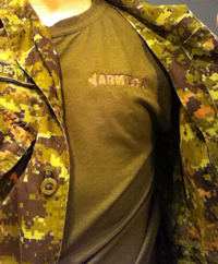 Shirt-OD-Subdued-Small.png