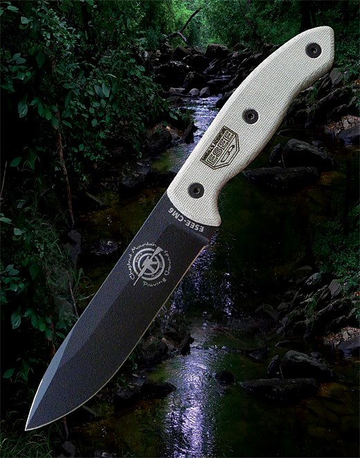 ESEE-CM6.jpg