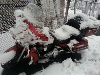 1stSnow_zps58261a44.jpg
