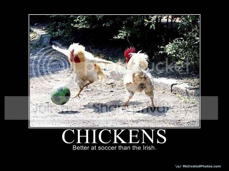 633719418346043060-chickens.jpg