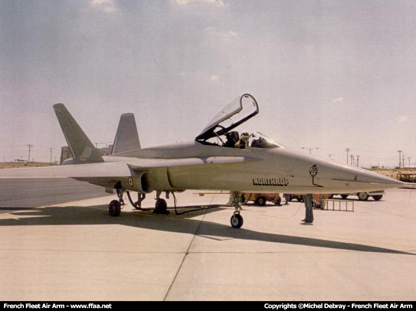 hornet-0007.jpg