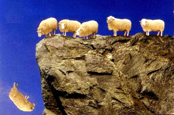 Leading-Sheep-Astray.jpg
