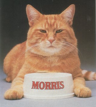 Morris.jpg