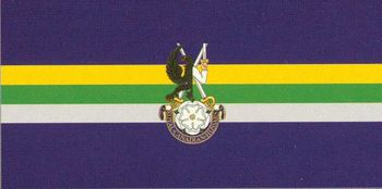 Camp Flag RCH Low Res.jpg