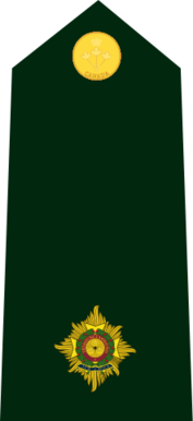 File:Cdn-Army-2Lt-2015.svg