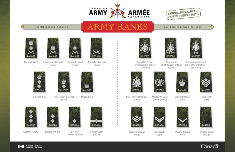 File:Canadian Army Ranks 08 Dec 2014.jpg
