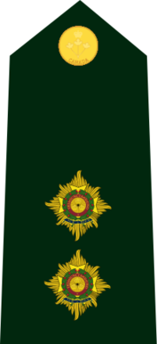 File:Cdn-Army-OF-Lt-2015.svg
